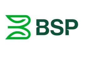 bsp-tonga-update-new.pages.dev favicon